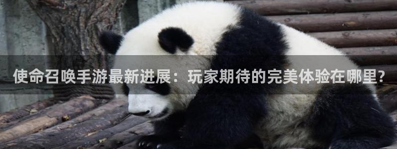 长征娱乐游戏：使命召唤手游最新进展：玩家期待的完美体验在哪里