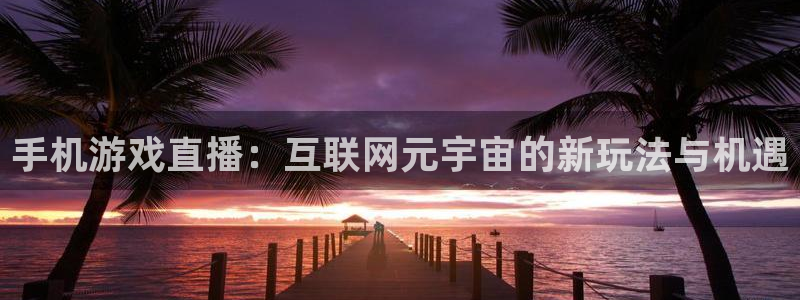 长征娱乐测速：手机游戏直播：互联网元宇宙的新玩法与机遇