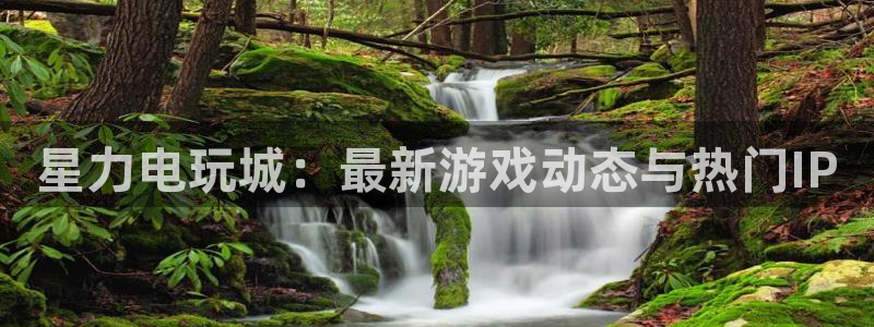 长征娱乐网址官网：星力电玩城：最新游戏动态与热门IP