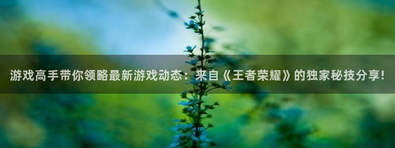 长征娱乐是什么：游戏高手带你领略最新游戏动态：来自《王者荣耀