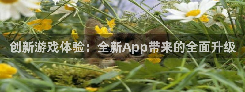 长征娱乐4招商：创新游戏体验：全新App带来的全面升级