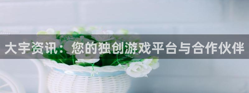 长征娱乐下载：大宇资讯：您的独创游戏平台与合作伙伴