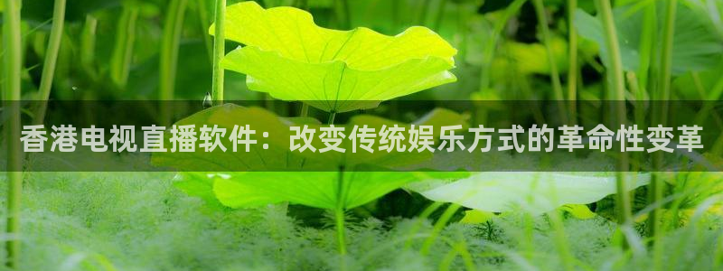 833nba直播在线观看免费：香港电视直播软件：改变传统娱乐方式的革命性变革