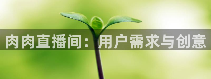 833nba直播在线观看免费：肉肉直播间：用户需求与创意