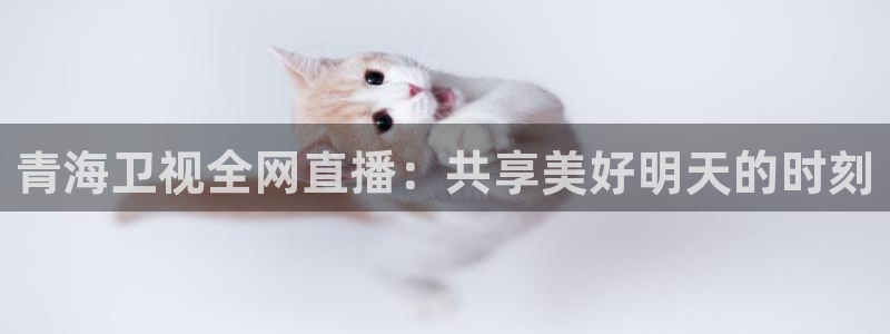 833直播体育免费观看：青海卫视全网直播：共享美好明天的时刻