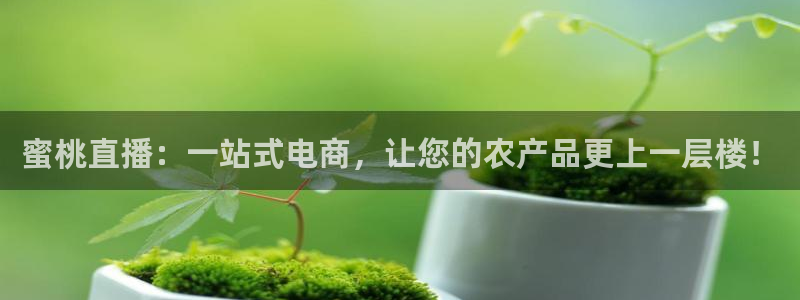 833体育：蜜桃直播：一站式电商，让您的农产品更上一层楼！