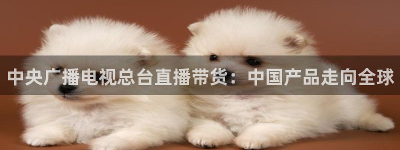 833直播体育免费入口：中央广播电视总台直播带货：中国产品走向全球