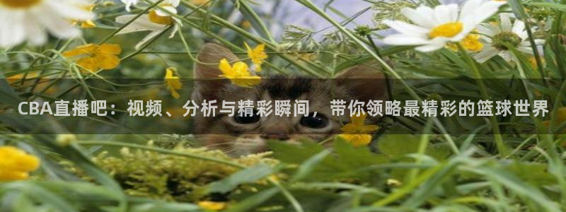 833直播体育app：CBA直播吧：视频、分析与精彩瞬间，带你领略最精彩的篮球世界