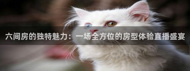 833直播体育app：六间房的独特魅力：一场全方位的房型体验直播盛宴