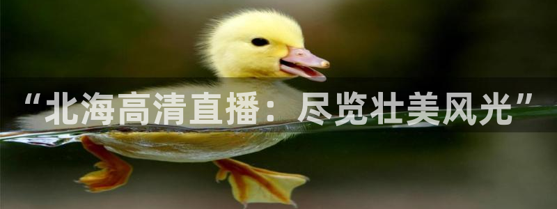 833体育免费直播入口：“北海高清直播：尽览壮美风光”