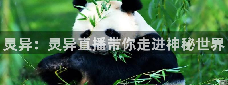 833直播比赛免费观看：灵异：灵异直播带你走进神秘世界