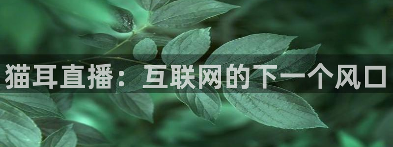 833足球免费直播：猫耳直播：互联网的下一个风口