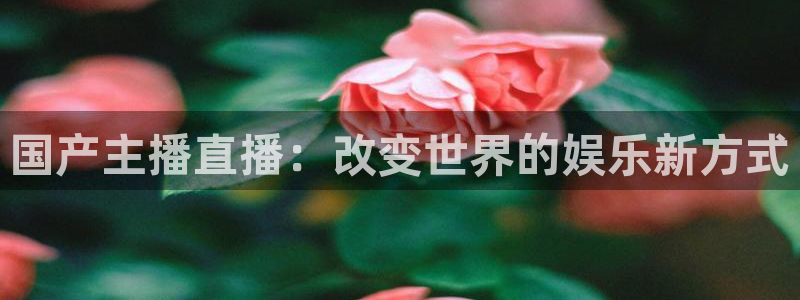 833篮球直播在线直播观看免费：国产主播直播：改变世界的娱乐新方式