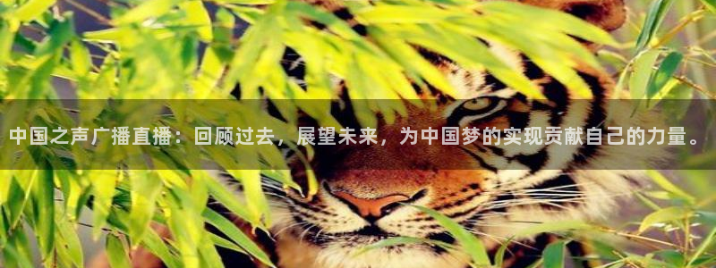 833体育免费直播平台：中国之声广播直播：回顾过去，展望未来，为中国梦的实现贡献自己的力量。