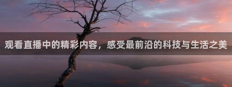 球帝833直播入口：观看直播中的精彩内容，感受最前沿的科技与生活之美