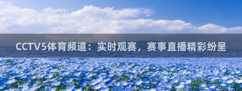 833直播体育：CCTV5体育频道：实时观赛，赛事直播精彩纷呈