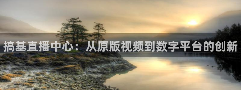 833篮球直播在线直播观看免费：搞基直播中心：从原版视频到数字平台的创新