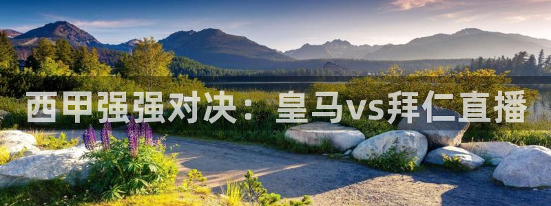 833直播nba免费观看高清直播：西甲强强对决：皇马vs拜仁直播