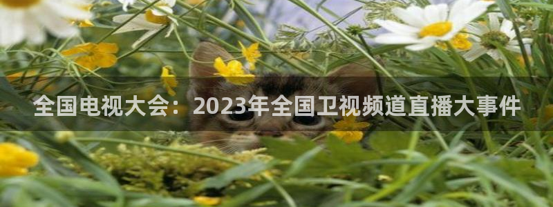 833nba直播：全国电视大会：2023年全国卫视频道直播大事件