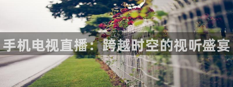 3833tv直播nba：手机电视直播：跨越时空的视听盛宴