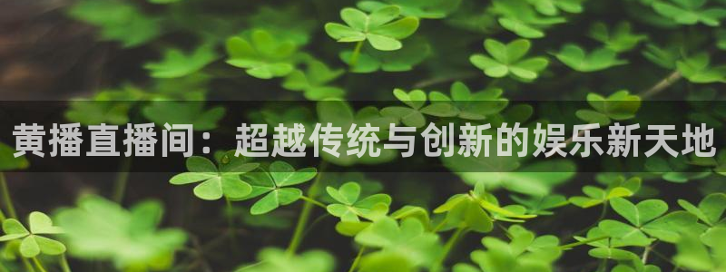 833直播：黄播直播间：超越传统与创新的娱乐新天地