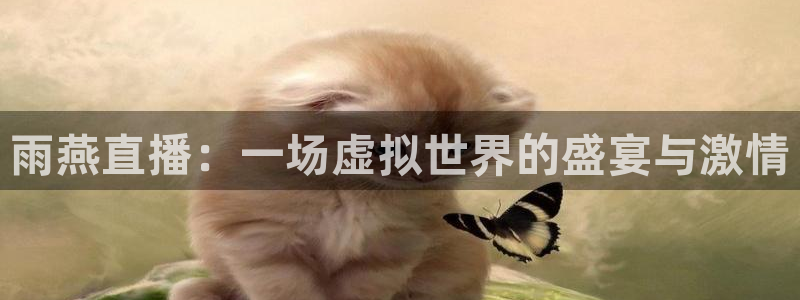 833直播比赛免费观看入口：雨燕直播：一场虚拟世界的盛宴与激情