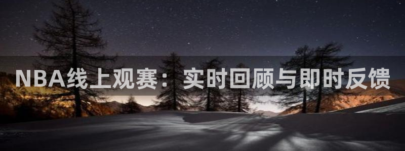 833nba直播在线观看免费：NBA线上观赛：实时回顾与即时反馈